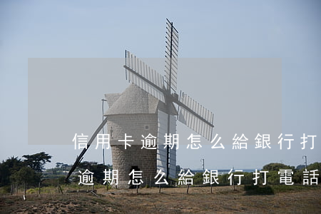 信用卡逾期怎么給銀行打電話報備-信用卡逾期怎么給銀行打電話報備呢