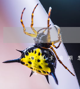 信用卡逾期怎么罰款嗎(有處理信用卡逾期的嗎)