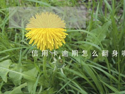 信用卡逾期怎么翻身呢(信用卡逾期反而提額)