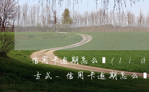 信用卡逾期怎么聯(lián)系客服還款方式-信用卡逾期怎么聯(lián)系客服還款方式呢