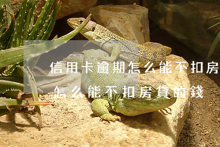信用卡逾期怎么能不扣房貸的錢（信用卡逾期怎么能不扣房貸的錢）