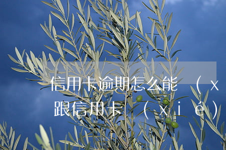 信用卡逾期怎么能協(xié)商分期(可以跟信用卡協(xié)商分期嗎)