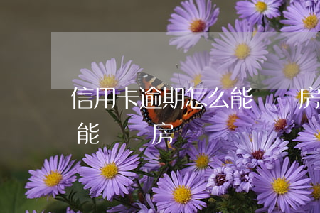 信用卡逾期怎么能夠帶房貸(信用卡逾期怎么能夠帶房貸)