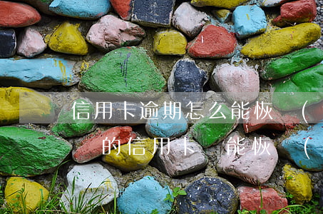 信用卡逾期怎么能恢復(fù)使用(逾期注銷的信用卡還能恢復(fù)嗎)
