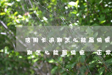 信用卡逾期怎么能最快恢復正常-信用卡逾期怎么能最快恢復正常使用