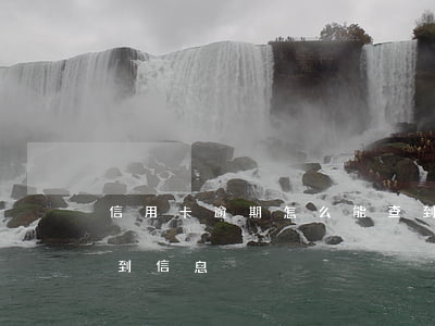 信用卡逾期怎么能查到(信用卡逾期怎么能查到信息)