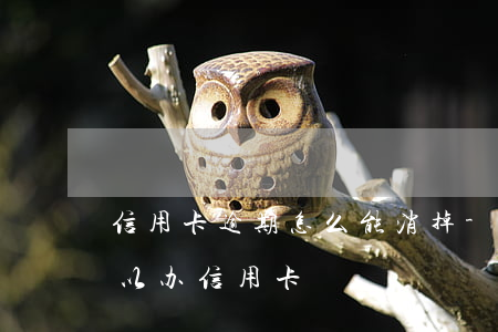 信用卡逾期怎么能消掉-逾期消除后多久可以办信用卡