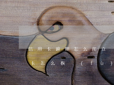 信用卡逾期怎么能立馬消除(逾期停用的信用卡怎么恢復(fù))