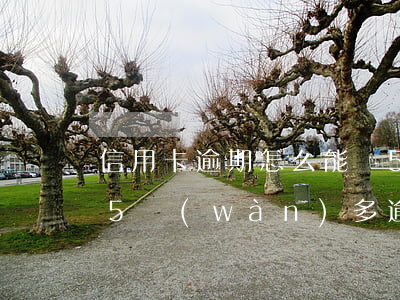 信用卡逾期怎么能貸5萬(wàn)(信用卡5萬(wàn)多逾期三個(gè)月)