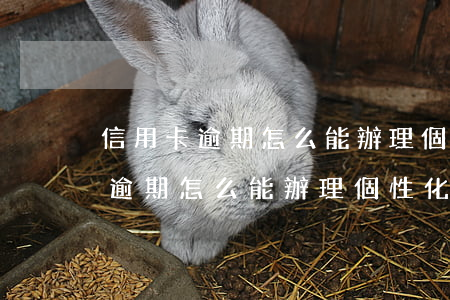 信用卡逾期怎么能辦理個性化分期-信用卡逾期怎么能辦理個性化分期呢