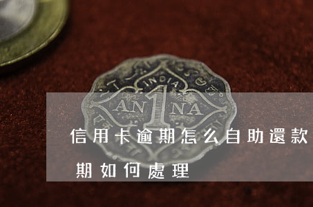 信用卡逾期怎么自助還款(忘記還款信用卡逾期如何處理)