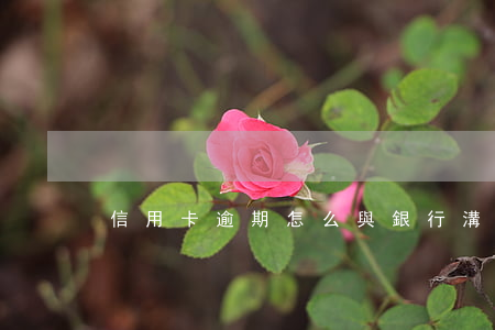 信用卡逾期怎么與銀行溝通