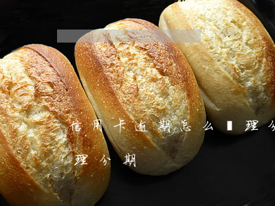 信用卡逾期怎么處理分期(信用卡逾期怎么處理分期)