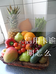 信用卡逾期怎么處理方法最快速-信用卡逾期怎么處理方法最快速還款