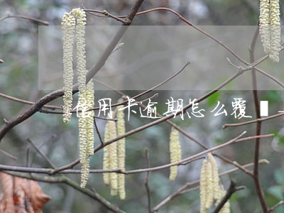 信用卡逾期怎么覆蓋-征信逾期怎么覆蓋