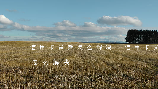 信用卡逾期怎么解决-信用卡逾期状态异常怎么解决