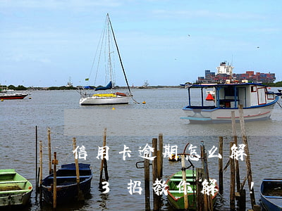 信用卡逾期怎么解決銀貸(信用卡逾期怎么辦?這3招教你解決!)