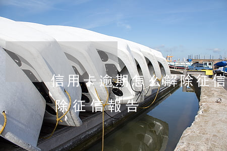 信用卡逾期怎么解除征信(信用卡逾期怎么解除征信報告)