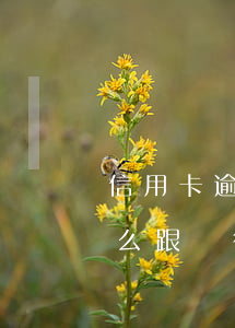 信用卡逾期怎么解除銀行協(xié)商(怎么跟銀行信用卡協(xié)商去掉違約金)