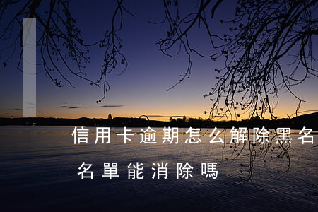 信用卡逾期怎么解除黑名單(信用卡逾期成黑名單能消除嗎)