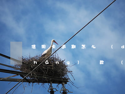 信用卡逾期怎么調(diào)解延長(zhǎng)還款時(shí)間-信用卡逾期怎么調(diào)解延長(zhǎng)還款時(shí)間呢