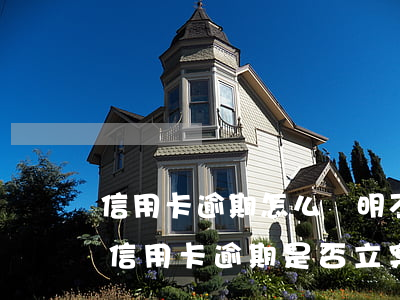 信用卡逾期怎么證明不是惡意透支-怎么查信用卡逾期是否立案了