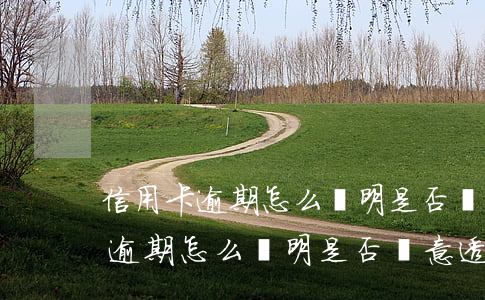信用卡逾期怎么證明是否惡意透支-信用卡逾期怎么證明是否惡意透支額度