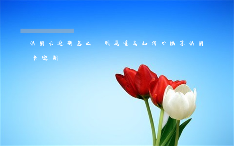 信用卡逾期怎么證明是透支(如何才能算信用卡逾期)