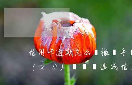信用卡逾期怎么讓撤銷手續(xù)費(手續(xù)費問題造成信用卡逾期)