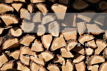 信用卡逾期怎么貸款6-信用卡逾期怎么貸款買房