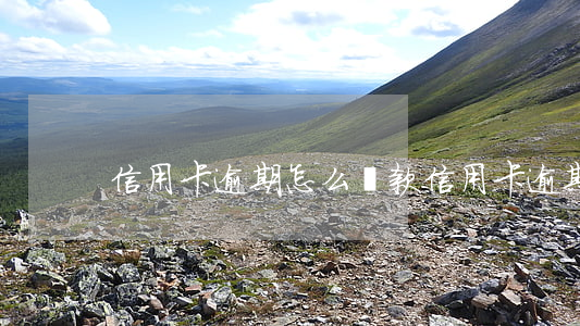 信用卡逾期怎么貸款（信用卡逾期怎么貸）