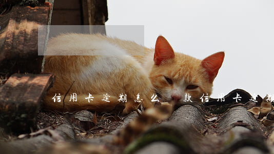 信用卡逾期 怎么貸款(信用卡逾期怎么貸款買車)
