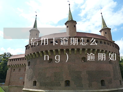 信用卡逾期怎么貸網(wǎng)貸(網(wǎng)貸逾期如何辦理信用卡)
