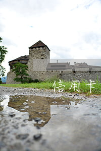 信用卡逾期怎么賠錢(信用卡逾期怎么賠錢的)