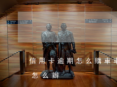 信用卡逾期怎么購車(車貸是信用卡逾期未還怎么辦)