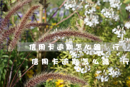 信用卡逾期怎么跟銀行協(xié)商停息(信用卡逾期怎么跟銀行協(xié)商停息掛賬)