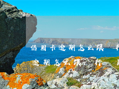 信用卡逾期怎么跟銀行協商還本金-信用卡逾期怎么跟銀行協商還本金呢