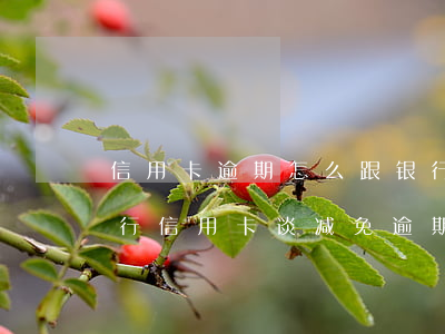信用卡逾期怎么跟银行协商免息-怎么和银行信用卡谈减免逾期滞纳金