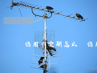信用卡 逾期怎么辦（信用卡逾期后四大忌）