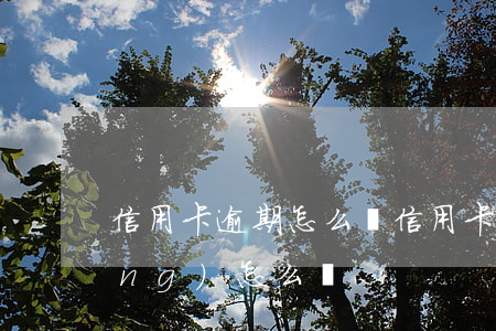 信用卡逾期怎么辦（信用卡逾期較長(zhǎng)怎么辦）