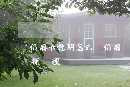 信用卡逾期怎么辦信用論壇(最新的信用卡逾期處理)