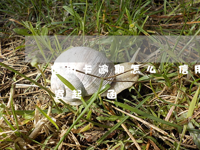 信用卡逾期怎么辦（信用飛逾期會(huì)寄起訴函嗎）
