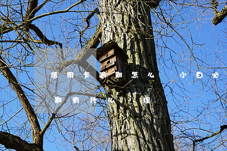 信用卡逾期怎么辦小白必看(今年的信用卡逾期有什么處理)