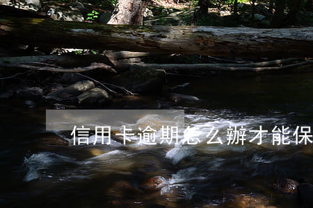 信用卡逾期怎么辦才能保住征信
