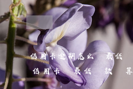 信用卡逾期怎么辦最低還款(每個(gè)月信用卡還最低還款額算是逾期嗎)