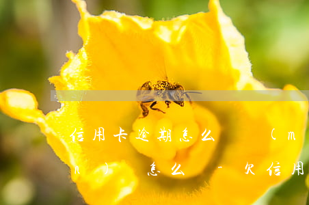 信用卡逾期怎么辦沒(méi)錢(qián)還怎么辦-欠信用卡逾期確實(shí)沒(méi)能力還怎么辦