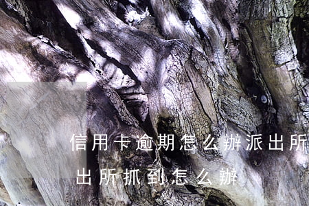 信用卡逾期怎么辦派出所抓嗎(欠信用卡被派出所抓到怎么辦)