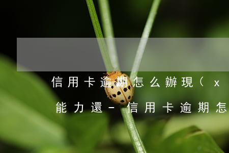 信用卡逾期怎么辦現(xiàn)在又沒有能力還-信用卡逾期怎么辦現(xiàn)在又沒有能力還款