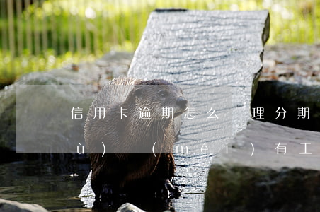 信用卡逾期怎么辦理分期業(yè)務(wù)沒(méi)有工作證明-辦信用卡沒(méi)工作證明怎么辦