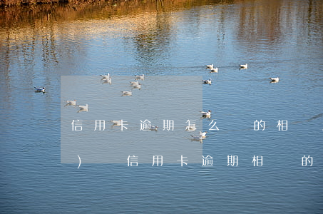 信用卡逾期怎么辦的相關法律法規(guī)(與信用卡逾期相關的法律法規(guī))